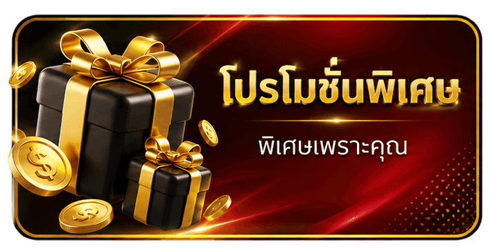 โปรโมชั่นพิเศษ